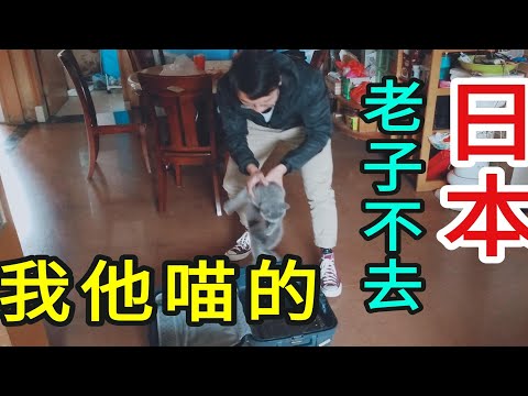 人生第一次去日本留学，这个up的箱子究竟都带了什么？