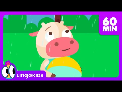 Who Took the Cookie ?🔎 🍪  + More Nursery Rhymes for Kids | Lingokids