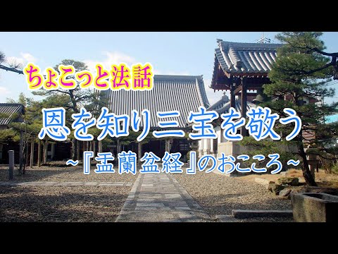 ちょこっと法話「恩を知り三宝を敬う～『盂蘭盆経』のおこころ～」