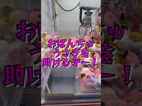 ぬいぐるみ救出 #クレーンゲーム #shorts #short #shortvideo #japaneseclawmachine #ufoキャッチャー #ゲームセンター  #クレゲ #おぱんちゅうさぎ