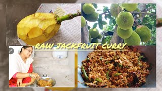 panasa pottu Aava pettina koora/how to make Raw Jackfruit curry easy and very tasty