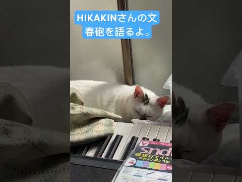 HIKAKINの文春砲について。#hikakin #文春砲 #語りたい