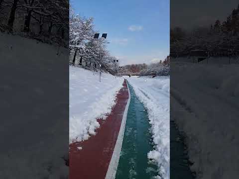 서울 폭설 후 흰눈 덮인 아침 산책길, SEOUL Snowfall Morning Walk, Nov 28,2024