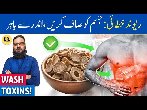 Revand Khattai Ke Fayde/Istemal | Rhubarb Roots Benefits/Uses | Dr. Ibrahim