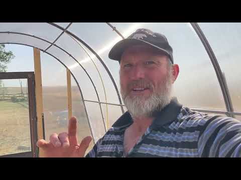 The World's Cheapest Homemade Polycarbonate Greenhouse