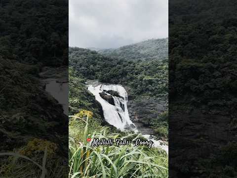 Majestic Mallalli Falls - Coorg 💚 #mallalli #coorg #karnataka #trending #karnatakatourism