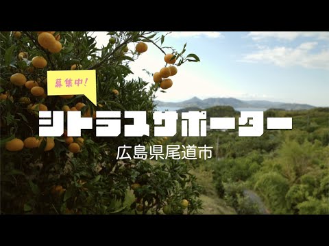 広島県尾道市で全国からシトラスサポーターを募集中！