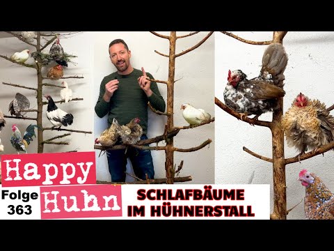 Hühnerstall einrichten: Geniale Schlafbäume für Hühner HAPPY HUHN E 364 - Zwerghühner beschäftigen