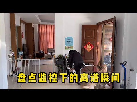 盘点监控下的离谱瞬间！