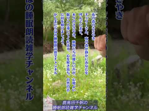 【かしまだちほの睡眠朗読雑学チャンネル/睡眠前のリラックス】【感謝6】 #ラジオアナウンサー #癒し #睡眠 #雑学 #ながら聴き #人生 #ながら聞き#不眠症 #女性アナウンサー #ぐっすり眠れる