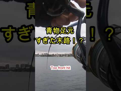 【ショアジギング】青物が足元でかかりパワー有りすぎて。。。 #fishing #ショアジギング