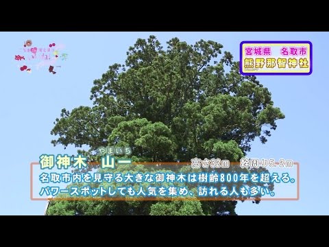 名取のパワースポット、熊野那智神社！