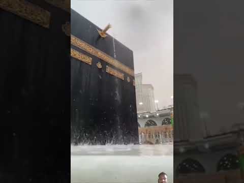 Makkah Saudi Arabia barish #status #islam #shotrs #status