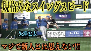 規格外!!!新人とは思えないスイングスピードで素振りをする矢澤宏太【日本ハムファイターズ】