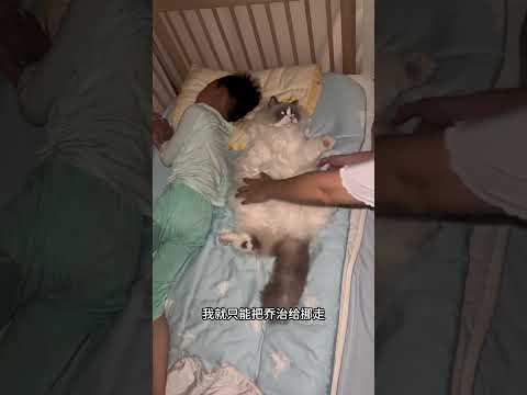 愁坏了，这猫早晚被孩子压成饼… #记录猫咪日常 #猫和孩子