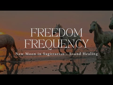 FREEDOM FREQUENCY | New Moon In Sagittarius | Sound Healing | 528hz