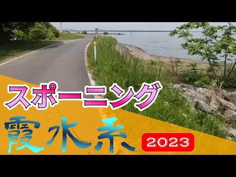 【バス釣り】【霞ヶ浦】産卵期は結構な・・・