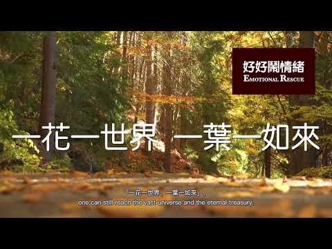 【What is the "Perfect Love" in the Human World?】⎮ Emotional Rescue (EP33)