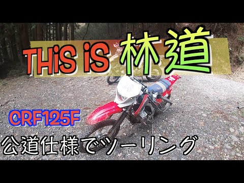 【林道の指南書】公道仕様にしたCRF125f、セロー250、トリッカーでツーリング