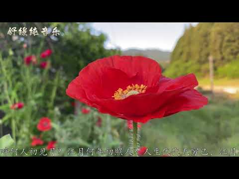 春江花月夜 - 中央民族乐团 Spring on a Moonlit River - China National Traditional Orchestra