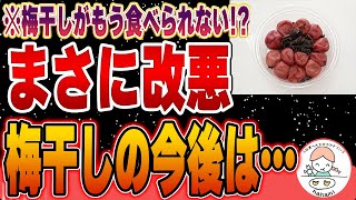 【重要】無添加梅干しを守れ!!知らないと損する梅にまつわる効果まとめ