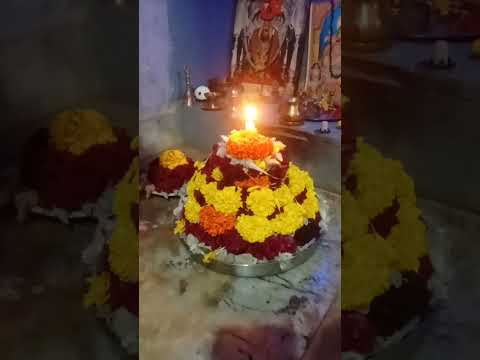 సద్దుల బతుకమ్మ#viral#ytshorts#youtubeshorts#shorts#viralshorts#trendingshorts#shortsfeed#bathukamma