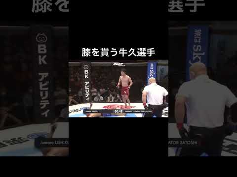 膝を貰う牛久選手【DEEP】#shorts