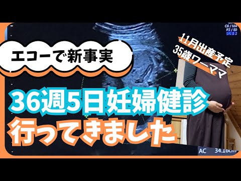 【巨大児疑惑】36週5日（ほぼ37週）の妊婦健診に行ってきました