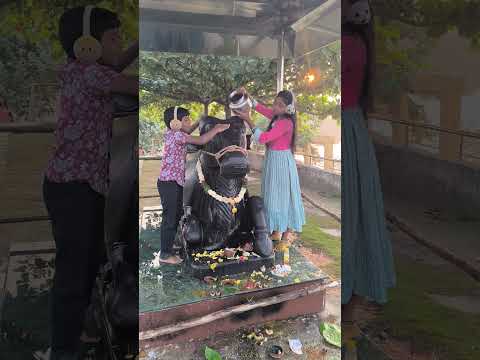 Abhishekam for Nandi #yt #karthikaideepam #youtubeshorts #siva #shiv #shorts