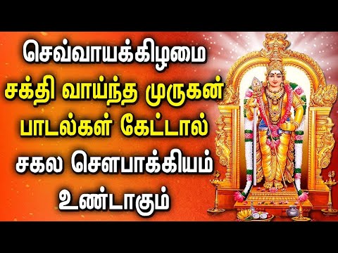 TUESDAY POWERFUL MURUGAN TAMIL DEVOTIONAL SONGS | Best Murugan Tamil Songs | Murugan Bhakti Padalgal