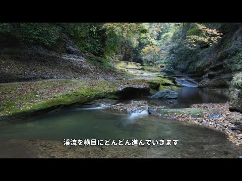 「東椎屋の滝」ドローン空撮