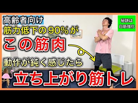 【高齢者の筋力低下】高齢になると真っ先に低下する瞬発力を担う白筋を鍛えてフレイルを予防する立ち上がりトレーニングと5つの筋トレ