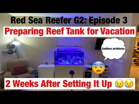 Preparing My Reef Tank for Vacation 2 Weeks After Setting It Up (Episode 3)