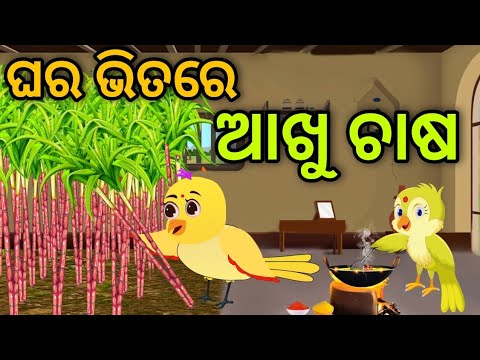 ଘର ଭିତରେ ଆଖୁ ଚାଷ | Ghara Bhitare Akhu Chasa | Tiki Chadhei | Odia Gapa | Chadhei Gapa