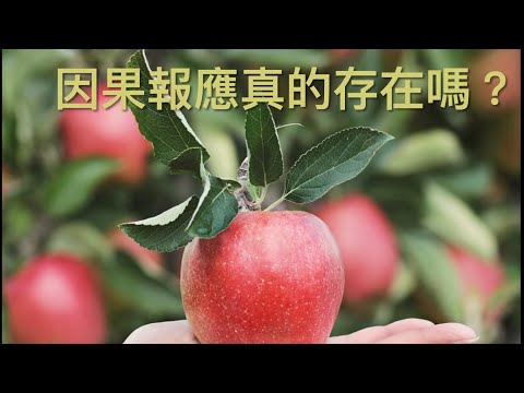 因果報應真的存在嗎？