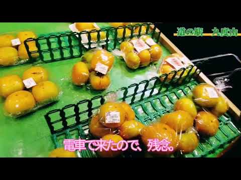 【道の駅】和歌山県九度山で秋の味覚を買うぞ！！真田幸村の住んだ街