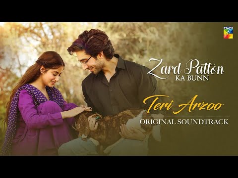 Zard Patton Ka Bunn 🎶 OST [ Teri Arzoo ] - Singer: Zaw Ali & Sohail Shehzad