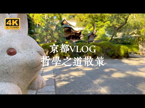 【Kyoto VLOG】Must-visit for Path of Philosophy! Master  beautiful and photogenic spots in one go