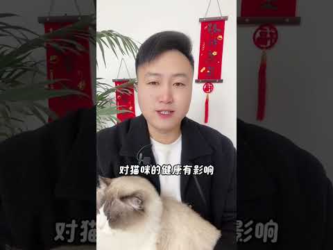 为什么养母猫的人，大部分会后悔？ 养猫经验分享 科学养宠攻略 养猫人 好有特色的小猫 猫咪发情