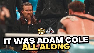 AEW Worlds End 2023 Review | Adam Cole IS THE DEVIL But Tony Khan FUMBLED The Ending of Joe vs MJF