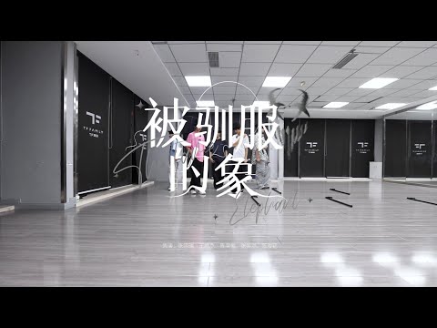 [TF FAMILY Trainees] ‘被驯服的象’ Practice ver.