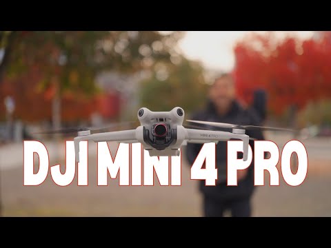 What Makes the DJI Mini 4 Pro Stand Out? | Reza Malayeri