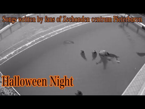 アザラシ幼稚園応援ソング「Halloween Night」English Version　Zeehonden centrum Pieterburen