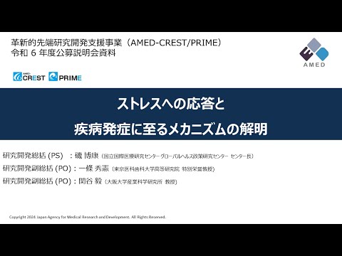 【公募説明】 「ストレスへの応答と疾病発症に至るメカニズムの解明」領域説明 （令和6年度「革新的先端研究開発支援事業（AMED-CREST、PRIME）」）