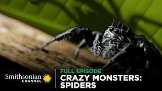 Crazy Monsters: Spiders 🕷️ FULL EPISODE | Smithsonian Channel