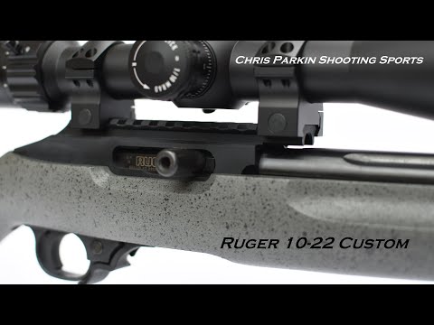 Ruger 10-22 Custom "Competition", REVIEW, 22 LR