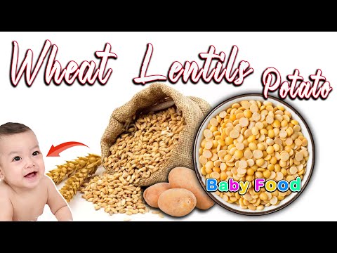 Baby Food with Wheat & Lentils || Baby Porridge recipe || Wheat Porridge || Potato Puree for Babies