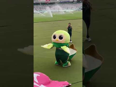 【癒し動画】琉球サポと戯れるリヴェルンくん♥️○○ルン👴🏻？爆笑