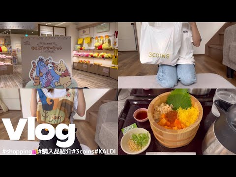 【Vlog】購入品紹介🧺｜3coins🧚‍♂️✨️｜KALDI🐐｜shopping🩰