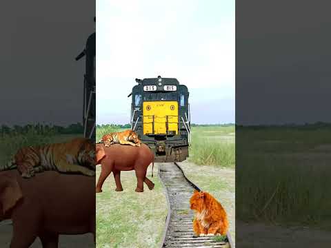 animals #animals #kidsvideo #tiger #merijaantumtoabhise #kids #merimakebarabrkoinahi #cartoon #lion